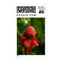 Flower Postage Stamps
