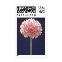 Flower Postage Stamps
