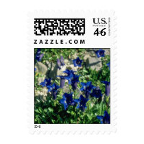 Flower Postage Stamps