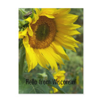 flower postcards