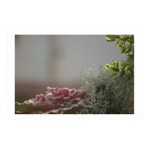 Flower posters