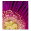 Flower Poster posters