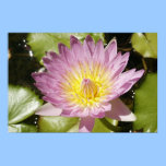 Flower posters