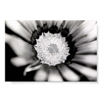 Flower posters