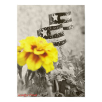 Flower posters