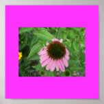 Flower Posters