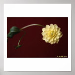 flower posters
