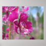 Flower posters