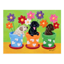 Flower Pot Lab Puppies Painting Postcards