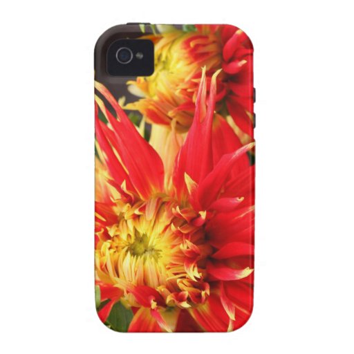 Flower Power 3 iPhone 4 Covers