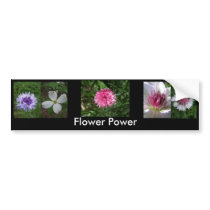 Flower Power by Jocelyn Burke bumper stickers by talaglenexotics Flower Power by Jocelyn Burke bumper stickers