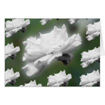Flower Power cards