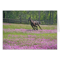 "Flower Power" cards by sandraw "Flower Power" cards