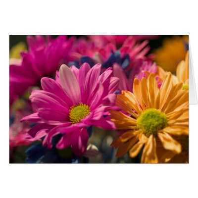 Flower Power Greeting Card by nighty