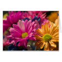 Flower Power cards