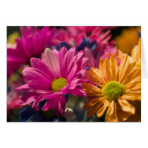 Flower Power cards