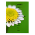 Flower Power Daisy business cards