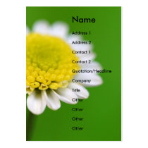 Flower Power Daisy business cards