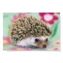 Flower Power Hedgehog Poster posters by nannyogg Flower Power Hedgehog Poster posters