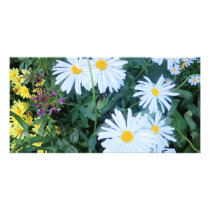 flower power in alaska photo cards