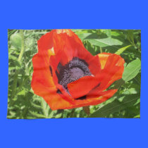 Flower power kitchen towels