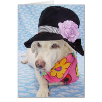 Flower Power Myrtie cards by myrtieshuman Flower Power Myrtie cards