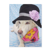 Flower Power Myrtie postcards by myrtieshuman Flower Power Myrtie postcards