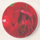 Flower Power & Nature Coaster - Red Rain Rose coasters