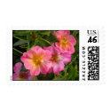 Flower Power Postage postage by shawke123 Flower Power Postage postage