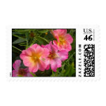 Flower Power Postage
