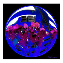 Flower Power posters by Calicoast Flower Power posters