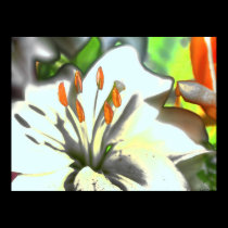 Flower Power posters