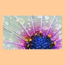 Flower power business cards