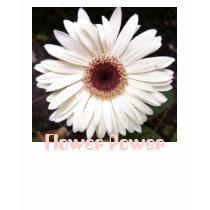 Flower Power t-shirts by Priscilla48 Flower Power t-shirts