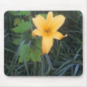 flower = pretty mousepads
