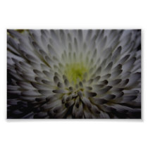 Flower print photo print