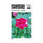 Flower Red Bozur postage
