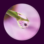 Flower Reflection in a Water Drop