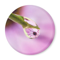 Flower Reflection in a Water Drop magnets by Squealia Flower Reflection in a Water Drop magnets