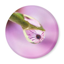 Flower Reflection in a Water Drop magnets by Squealia Flower Reflection in a Water Drop magnets