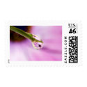 Flower Reflection in a Water Drop postage