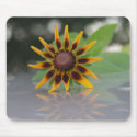 Flower Reflection TEYoung mousepads by tyounglyle Flower Reflection TEYoung mousepads