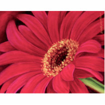 Flower Rooster Painting art - Multi photo sculptures