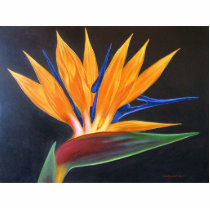 Flower Rooster Painting art - Multi photo sculptures