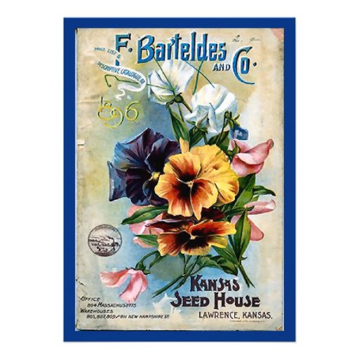 Flower Seed Packs Vintage Art Personalized Invitation