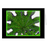 Flower Series Card