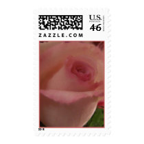 Flower Series - Double Delight Postage postage by glo53bug Flower Series - Double Delight Postage postage