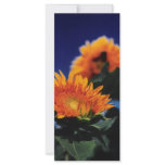 Flower Show! Full Color Rack Card