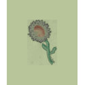 Flower Sketch TShirt by sharpcreations Flower Sketch TShirt