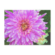 flower spring postcard